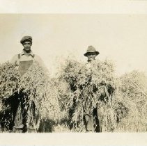 Photograph, Black-and-White